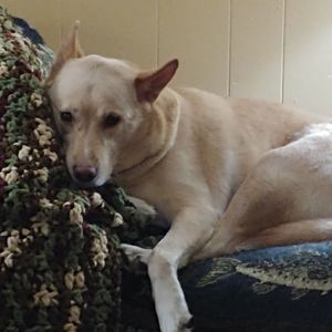 Meet your Posher, Shawn